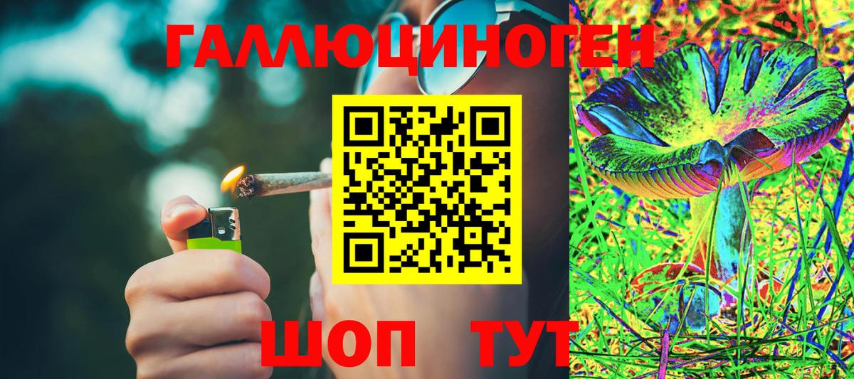 Псилоцибиновые грибы мицелий  Вход с VPN  Люберцы 